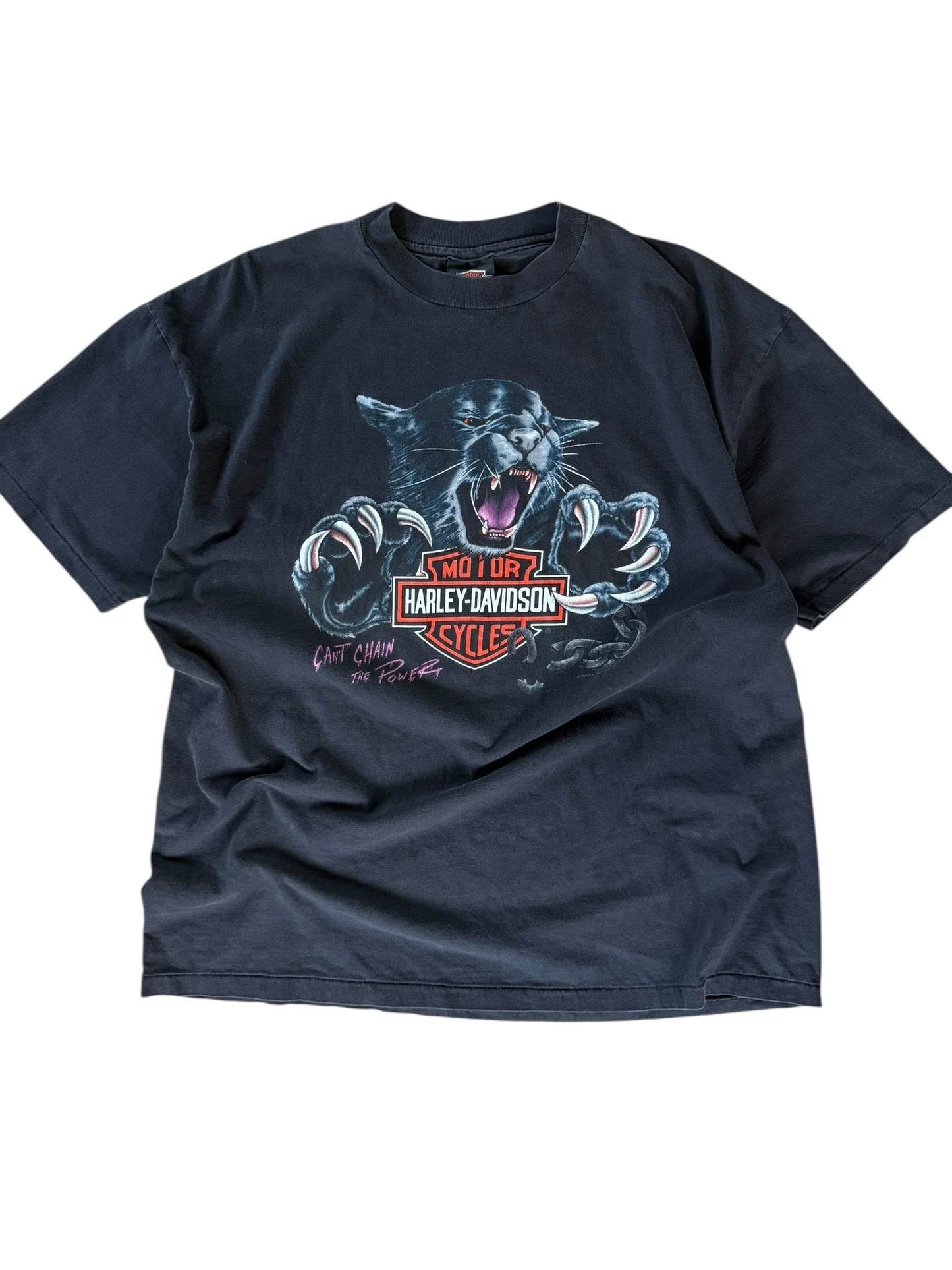 1992 Harley Black Panther