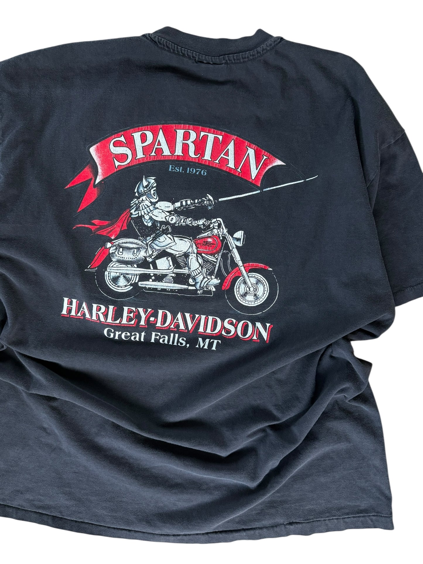 1992 Harley Black Panther